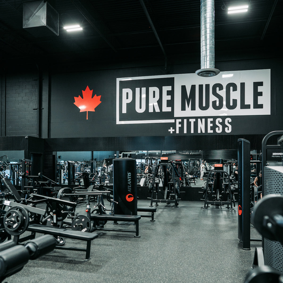 Pure Muscle + Fitness